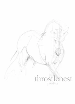 LeMieux Young Rider Cropped Hoodie - Musk -Equisstride Style Shop lemieux youth crop hoodie musk 3rdy