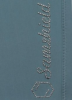 Samshield Ladies Adèle Breeches - Steel Grey -Equisstride Style Shop samshieldadelegrey3rdy